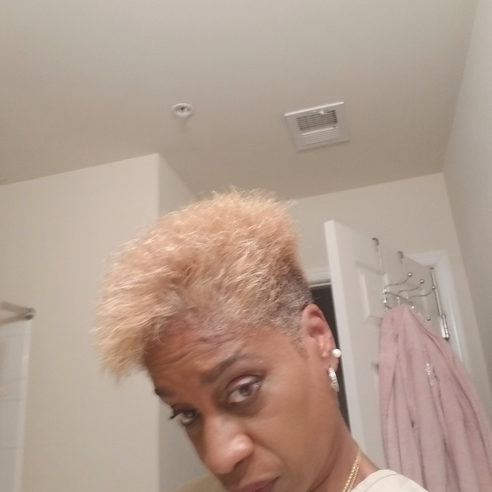 Meet your Posher, Icina